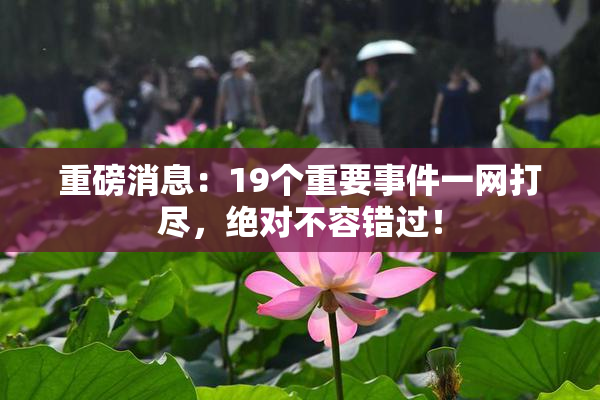 重磅消息：19个重要事件一网打尽，绝对不容错过！