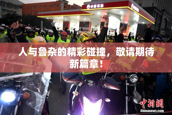 人与鲁杂的精彩碰撞，敬请期待新篇章！