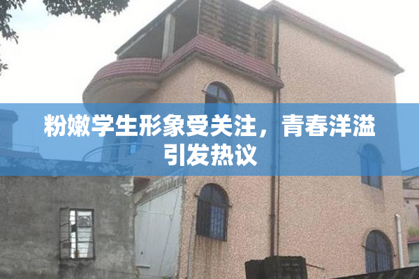 粉嫩学生形象受关注，青春洋溢引发热议