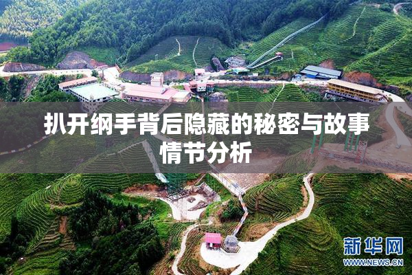 扒开纲手背后隐藏的秘密与故事情节分析