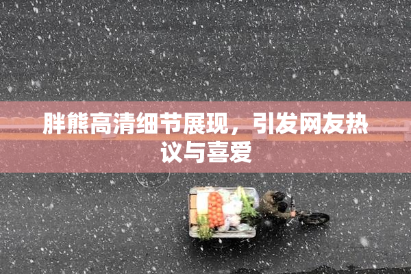 胖熊高清细节展现，引发网友热议与喜爱