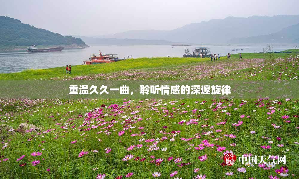 重温久久一曲，聆听情感的深邃旋律
