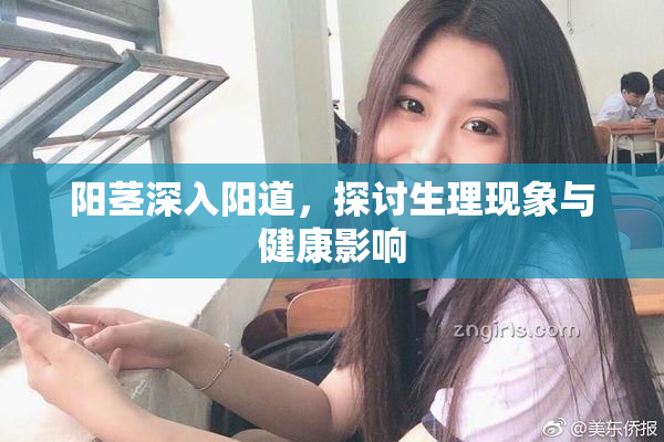 阳茎深入阳道，探讨生理现象与健康影响