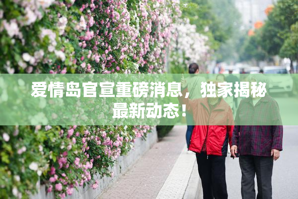 爱情岛官宣重磅消息，独家揭秘最新动态！