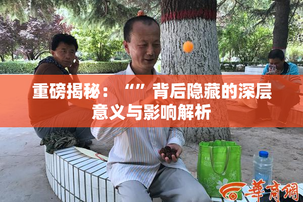 重磅揭秘：“”背后隐藏的深层意义与影响解析
