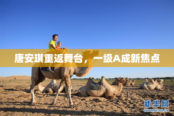 唐安琪重返舞台，一级A成新焦点