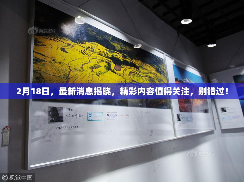 2月18日，最新消息揭晓，精彩内容值得关注，别错过！