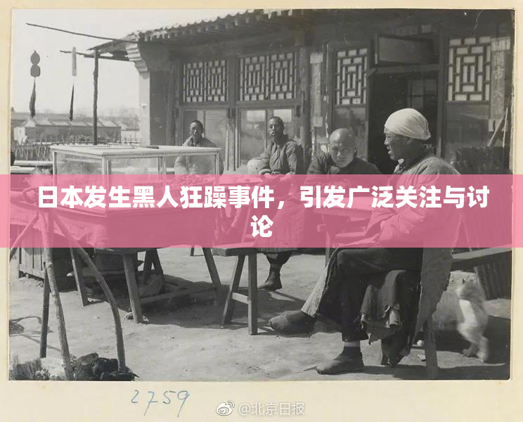 日本发生黑人狂躁事件，引发广泛关注与讨论