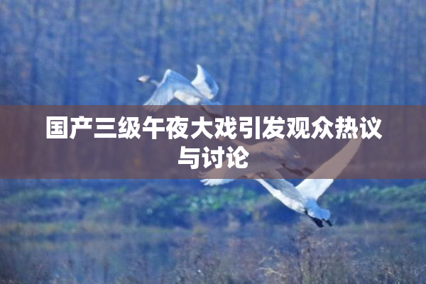 国产三级午夜大戏引发观众热议与讨论