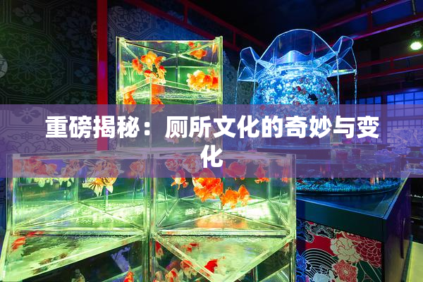 重磅揭秘：厕所文化的奇妙与变化