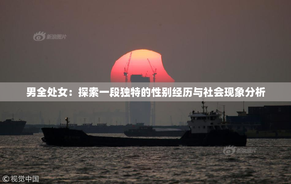 男全处女：探索一段独特的性别经历与社会现象分析
