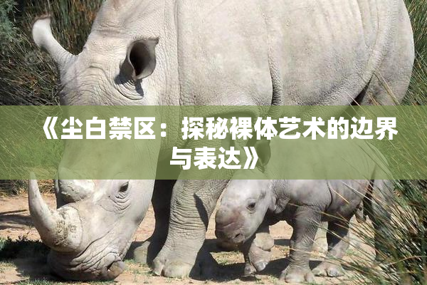 《尘白禁区：探秘裸体艺术的边界与表达》