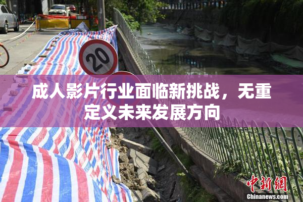 成人影片行业面临新挑战，无重定义未来发展方向