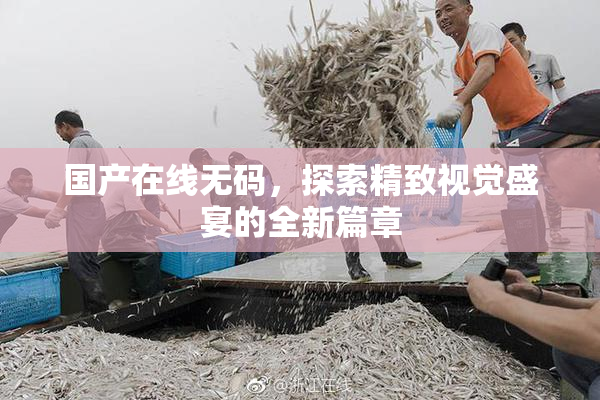 国产在线无码，探索精致视觉盛宴的全新篇章