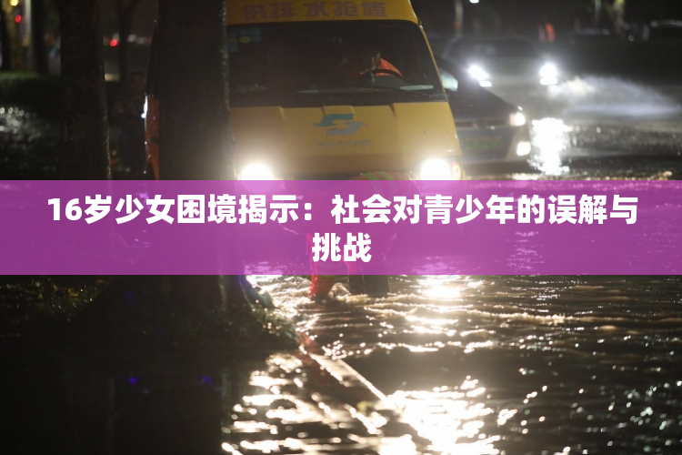 16岁少女困境揭示：社会对青少年的误解与挑战