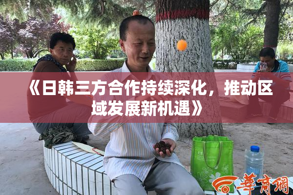 《日韩三方合作持续深化，推动区域发展新机遇》