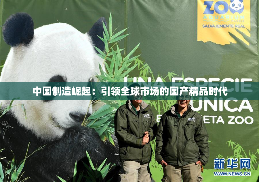 中国制造崛起：引领全球市场的国产精品时代