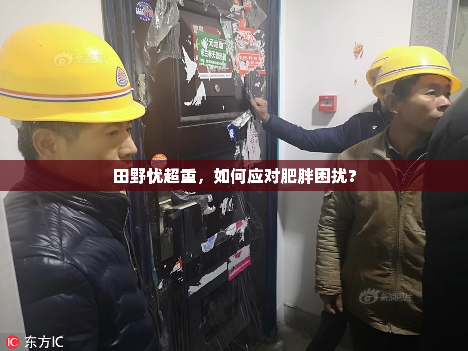 田野忧超重，如何应对肥胖困扰？