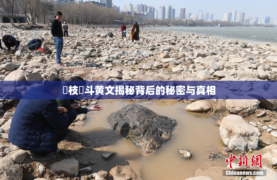 狛枝凪斗黄文揭秘背后的秘密与真相