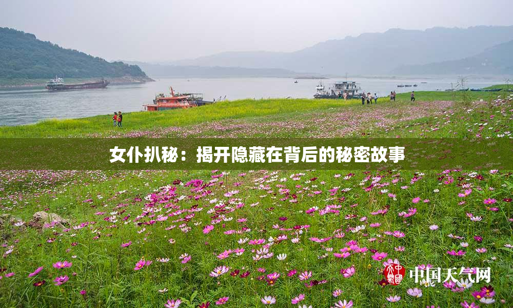 女仆扒秘：揭开隐藏在背后的秘密故事