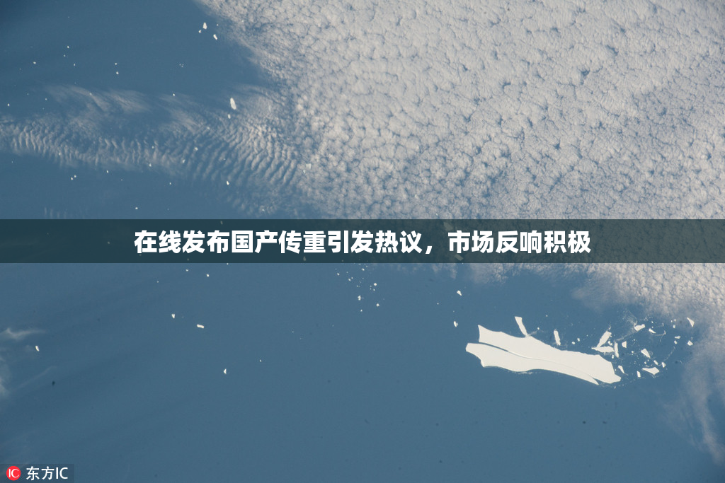 在线发布国产传重引发热议，市场反响积极