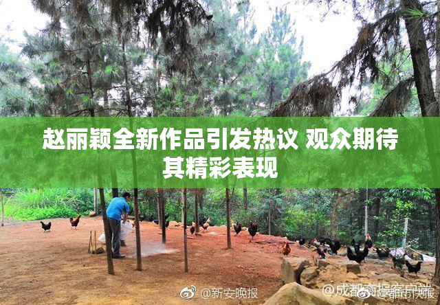 赵丽颖全新作品引发热议 观众期待其精彩表现