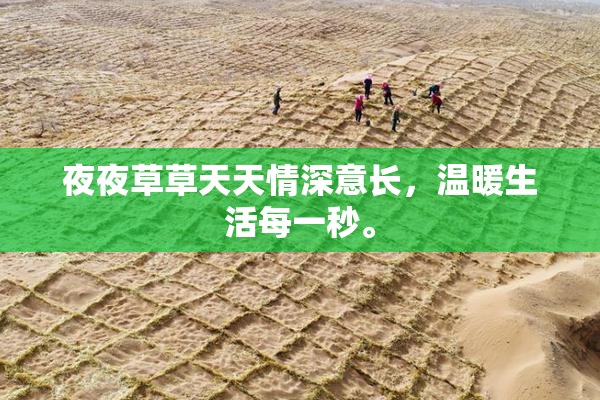 夜夜草草天天情深意长，温暖生活每一秒。