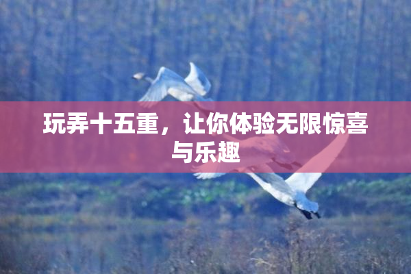 玩弄十五重，让你体验无限惊喜与乐趣