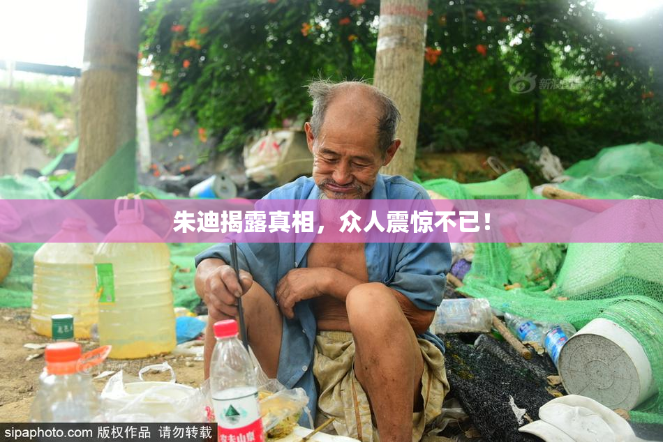 朱迪揭露真相，众人震惊不已！