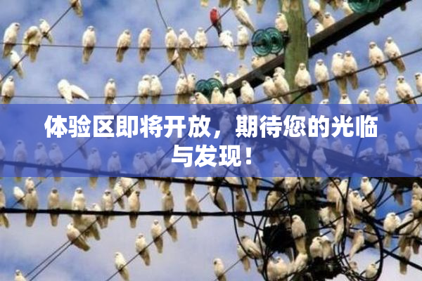 体验区即将开放，期待您的光临与发现！