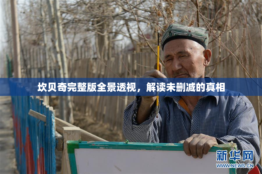 坎贝奇完整版全景透视，解读未删减的真相
