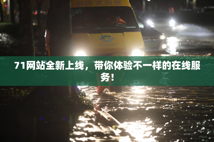 71网站全新上线，带你体验不一样的在线服务！