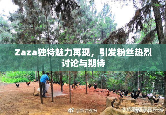 Zaza独特魅力再现，引发粉丝热烈讨论与期待