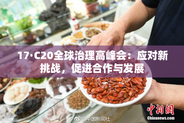 17·C20全球治理高峰会：应对新挑战，促进合作与发展