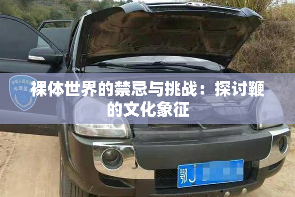 裸体世界的禁忌与挑战：探讨鞭的文化象征
