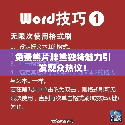 免费熊片胖熊独特魅力引发观众热议！