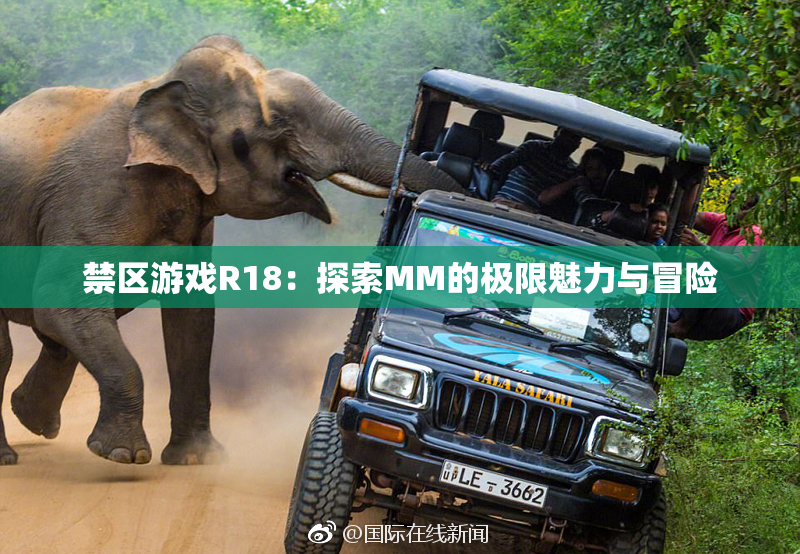 禁区游戏R18：探索MM的极限魅力与冒险
