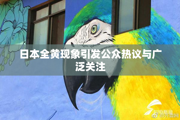 日本全黄现象引发公众热议与广泛关注