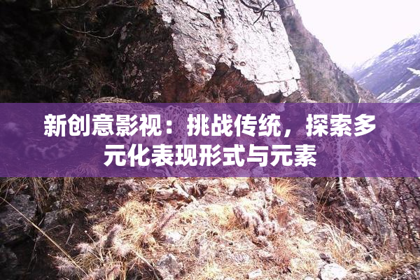 新创意影视：挑战传统，探索多元化表现形式与元素