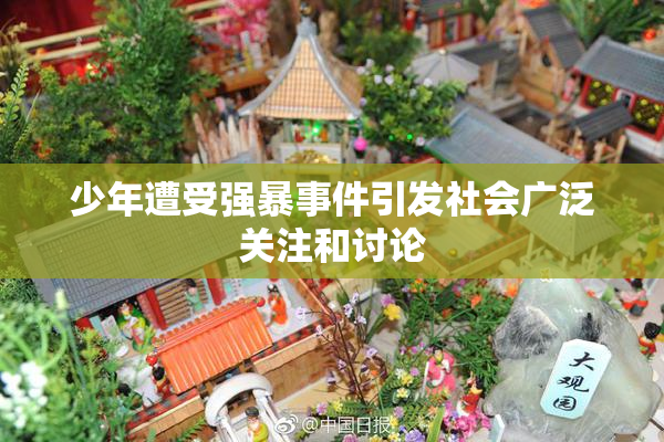 少年遭受强暴事件引发社会广泛关注和讨论