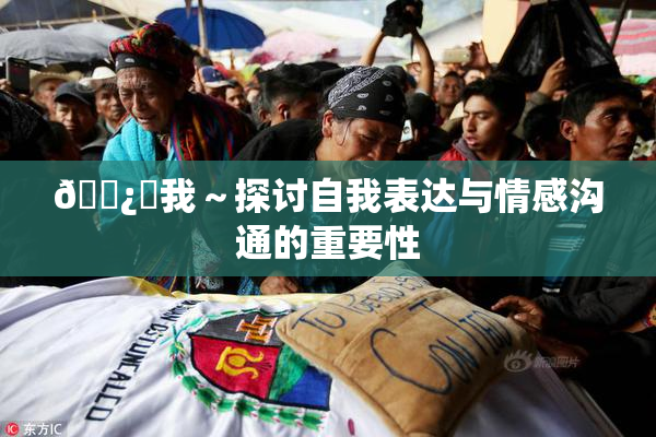 🌿‌我～探讨自我表达与情感沟通的重要性