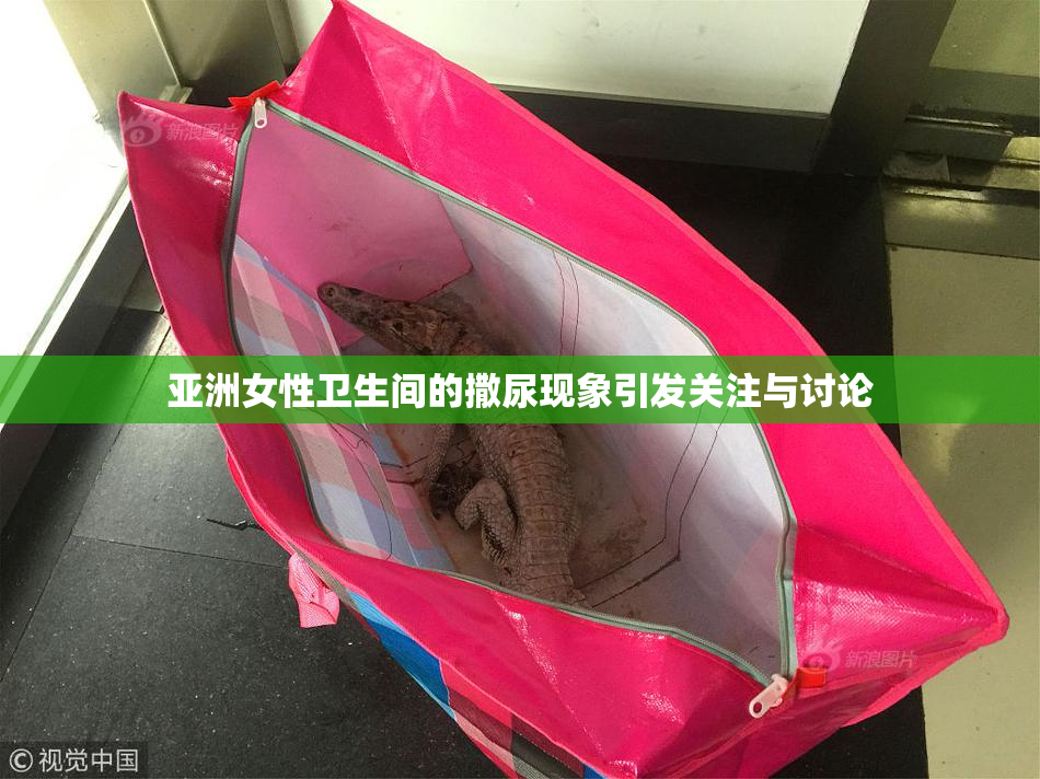 亚洲女性卫生间的撒尿现象引发关注与讨论