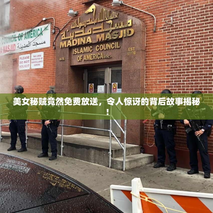美女秘贼竟然免费放送，令人惊讶的背后故事揭秘！