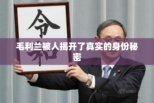 毛利兰被人揭开了真实的身份秘密