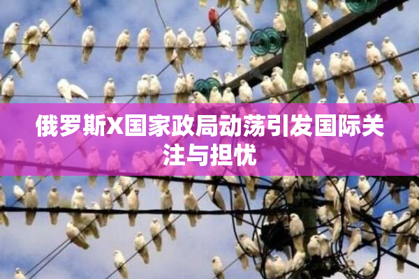 俄罗斯X国家政局动荡引发国际关注与担忧