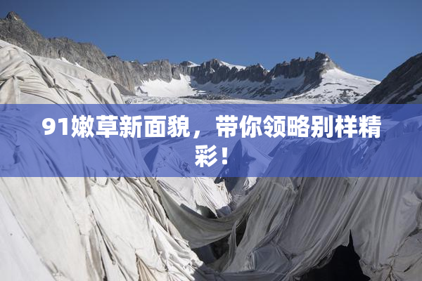 91嫩草新面貌，带你领略别样精彩！