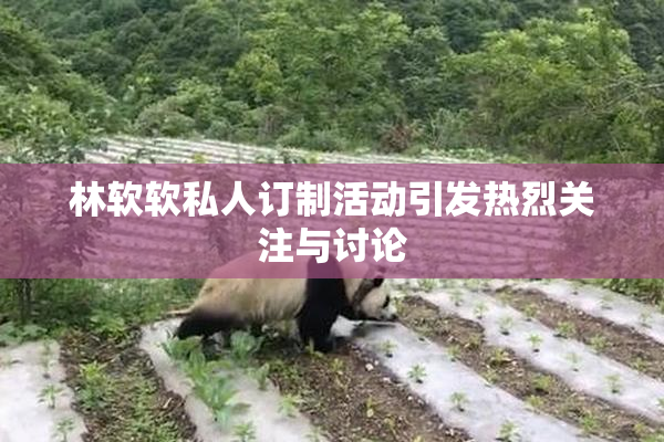 林软软私人订制活动引发热烈关注与讨论