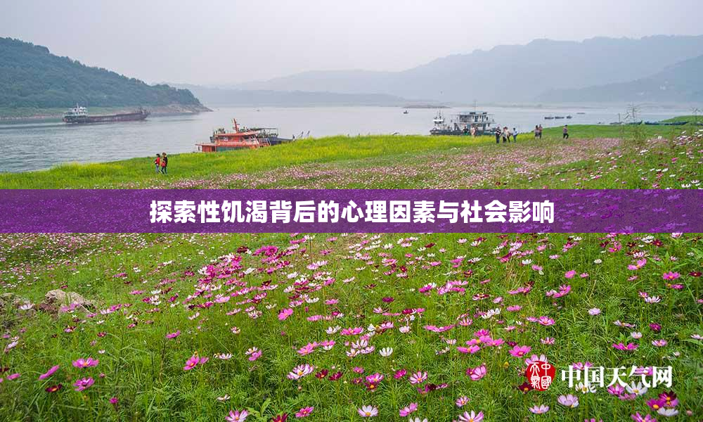 探索性饥渴背后的心理因素与社会影响