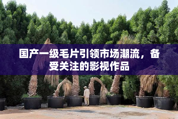 国产一级毛片引领市场潮流，备受关注的影视作品