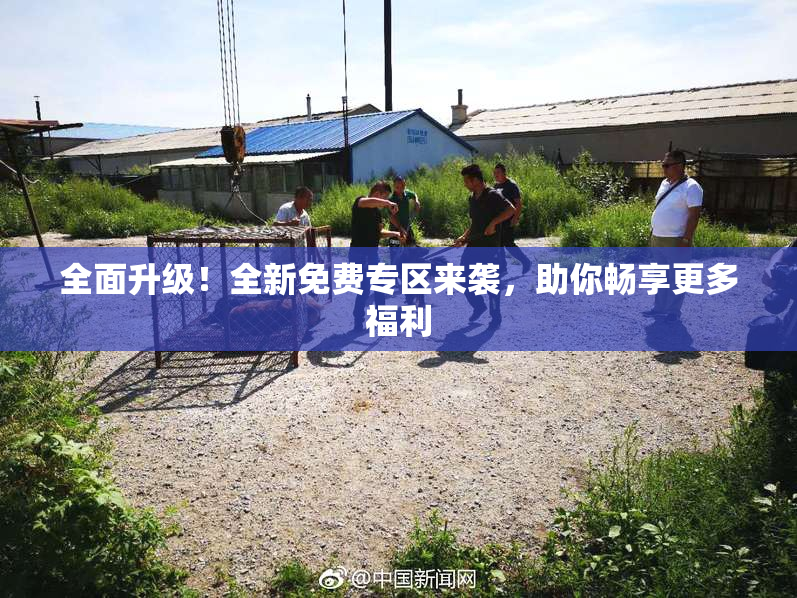 全面升级！全新免费专区来袭，助你畅享更多福利